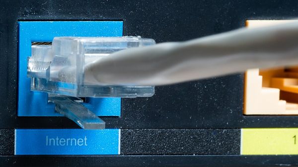 A close-up of an Ethernet RJ45 socket on a network device
