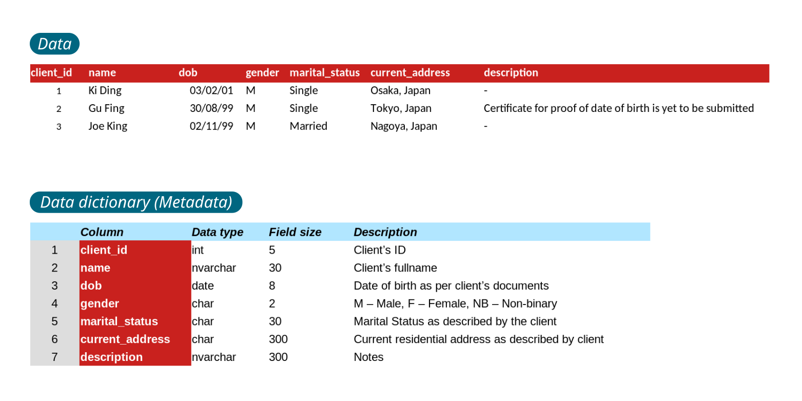 A sample data table and the data dictionary (metadata) that describes each of its columns